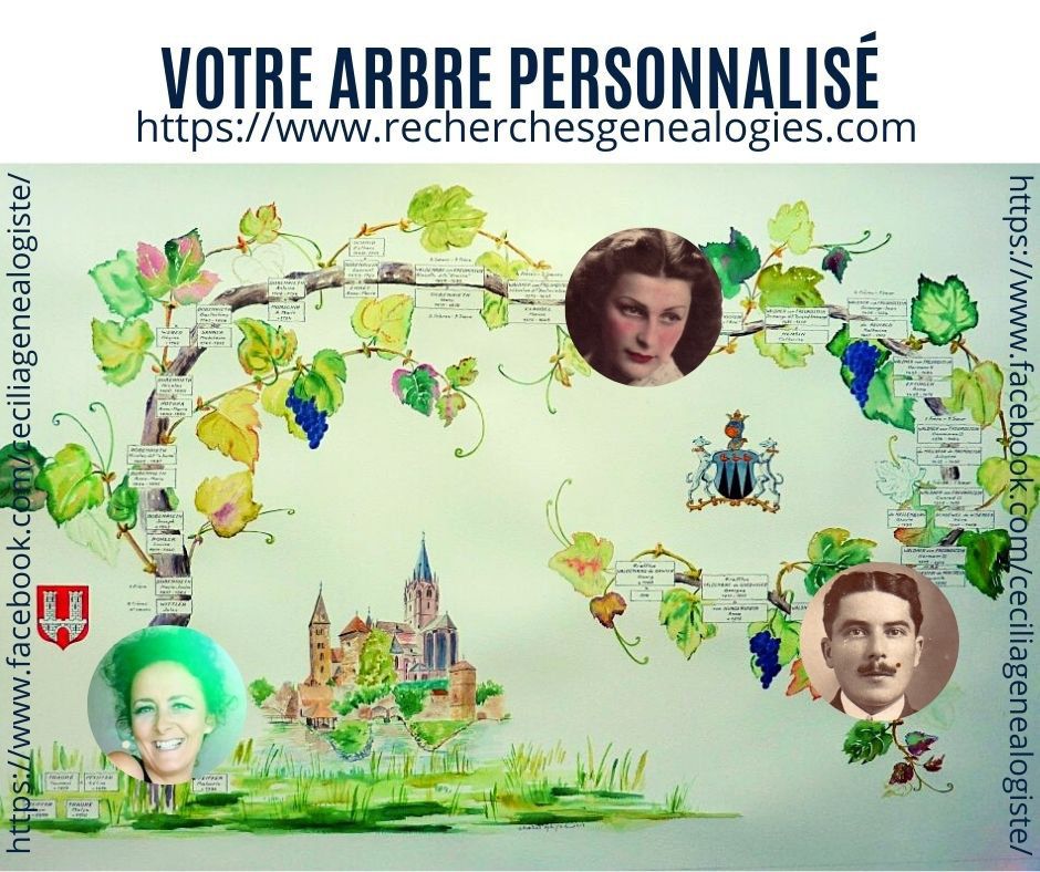 Votre arbre personnalisé. Ensemble nous étudierons au mieux sa composition.